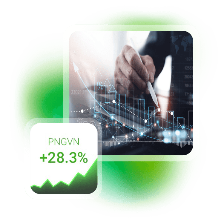 The PNGVN Index